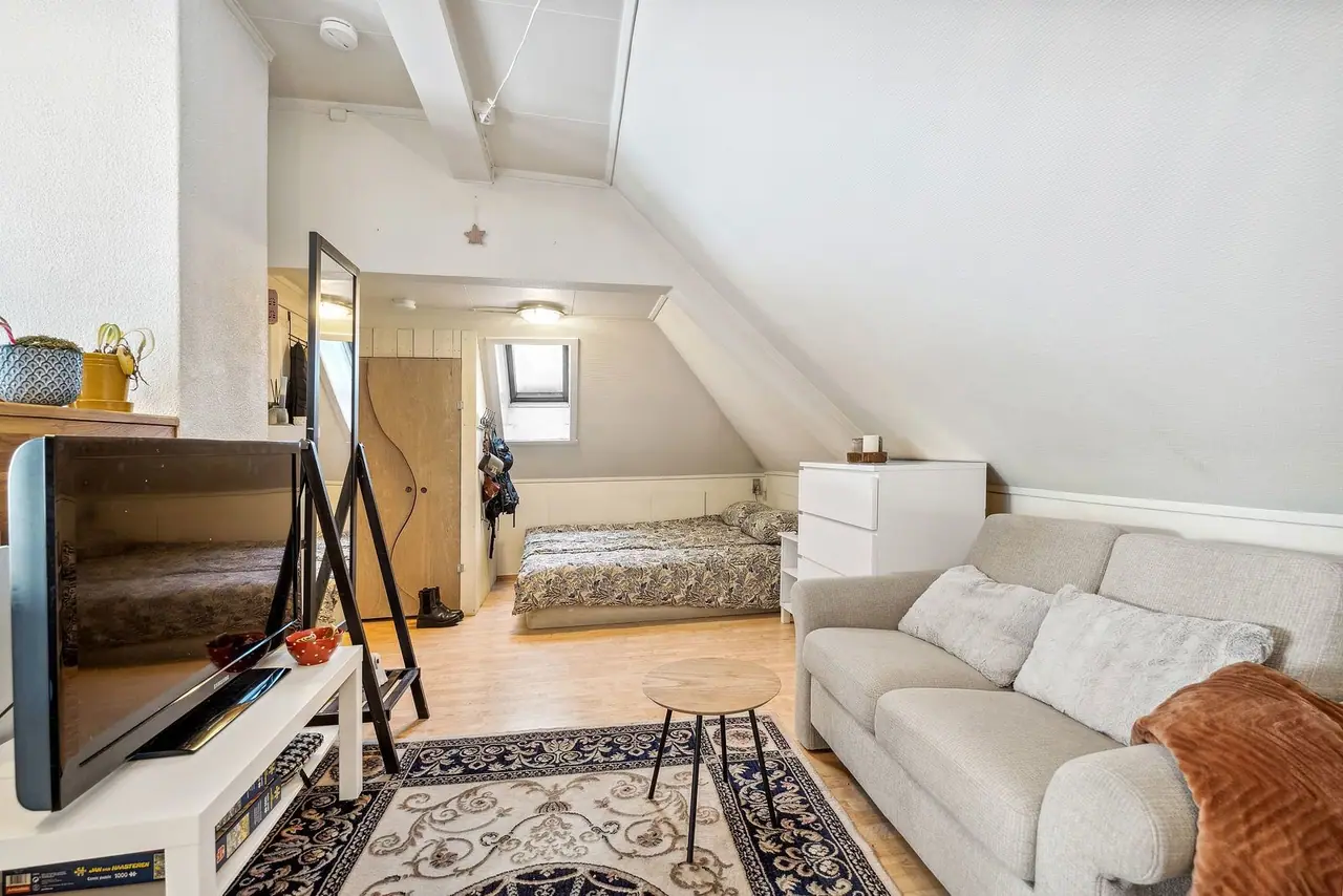 Open-plan living room and sleeping alcove.